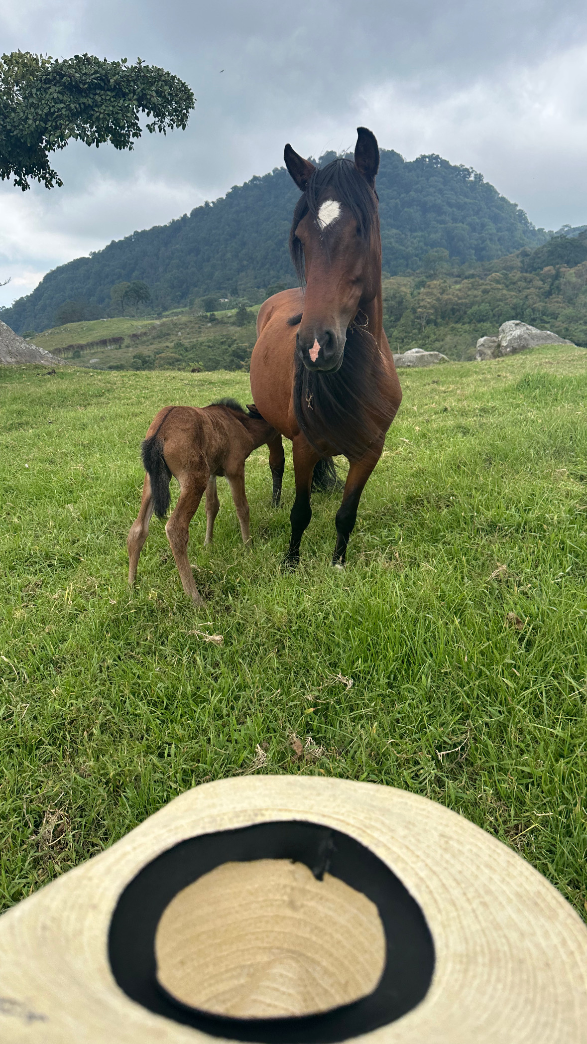 Galería del evento A Través del Ojo del Caballo