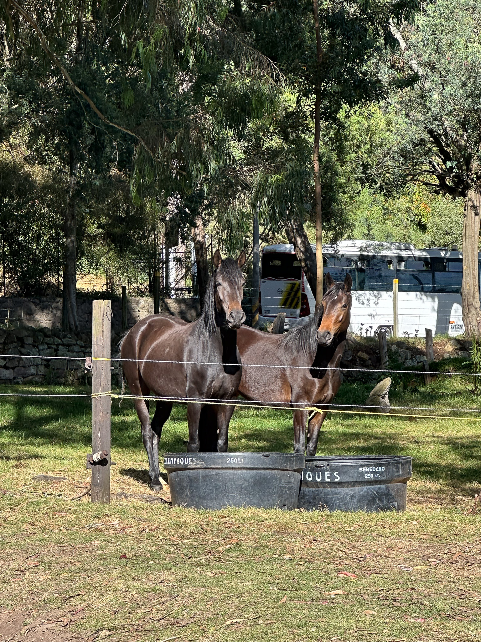 Galería del evento A Través del Ojo del Caballo