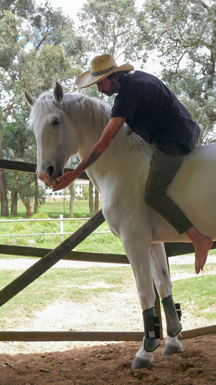 Galería del evento A Través del Ojo del Caballo